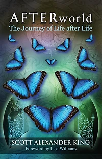 Afterworld: The Journey of Life After