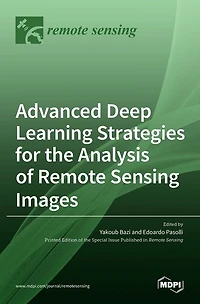 Advanced Deep Learning Strategies for the Analysis of Remote Sensing Images