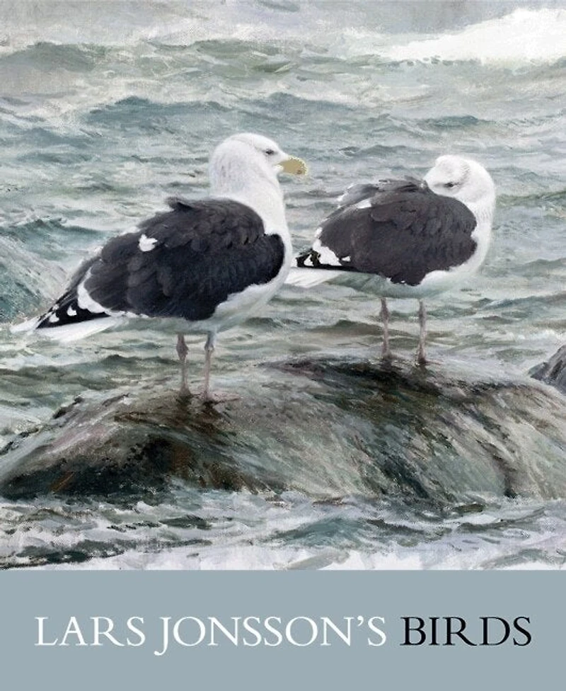 LARS JONSSONS BIRDS: Paintings from a Near Horizon