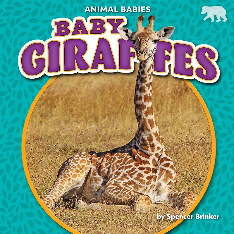 Baby Giraffes