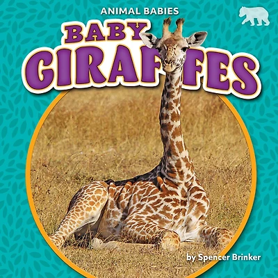 Baby Giraffes