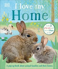I Love My Home: A Pop-up Book About Animal Families And Their Homes