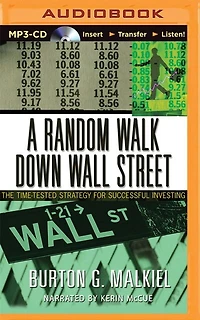 A Random Walk Down Wall Street: The Time-tested Strategy For Succesful Investing