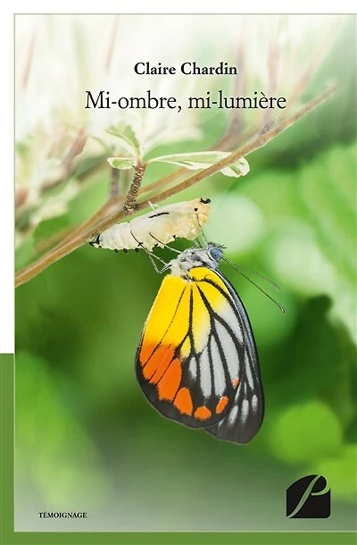 Mi-ombre, mi-lumière