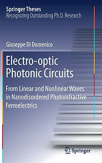 Electro-optic Photonic Circuits: From Linear And Nonlinear Waves Nanodisordered Photorefractive Ferroelectrics