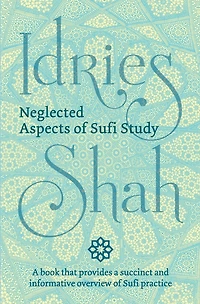 Neglected Aspects of Sufi Studies
