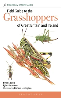 Field Guide to Grasshoppers and Allies of Great Britain Ireland: Grasshoppers, Crickets, Earwigs, Cockroaches, Mantids Stick-insects