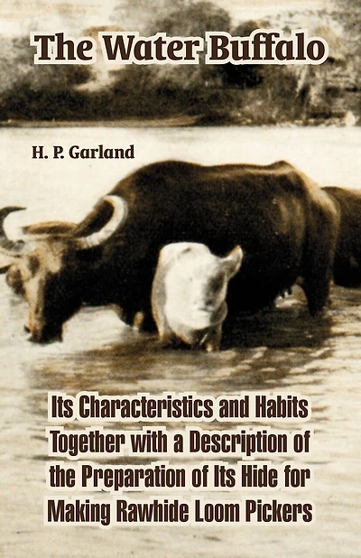 The Water Buffalo: Its Characteristics and Habits Together with a Description of the Preparation of Its Hide for Making Rawhide Loom Pickers