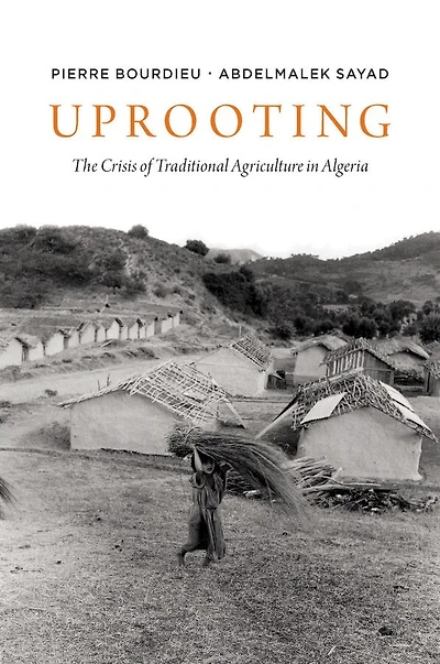 Uprooting: The Crisis Of Traditional Algriculture Algeria