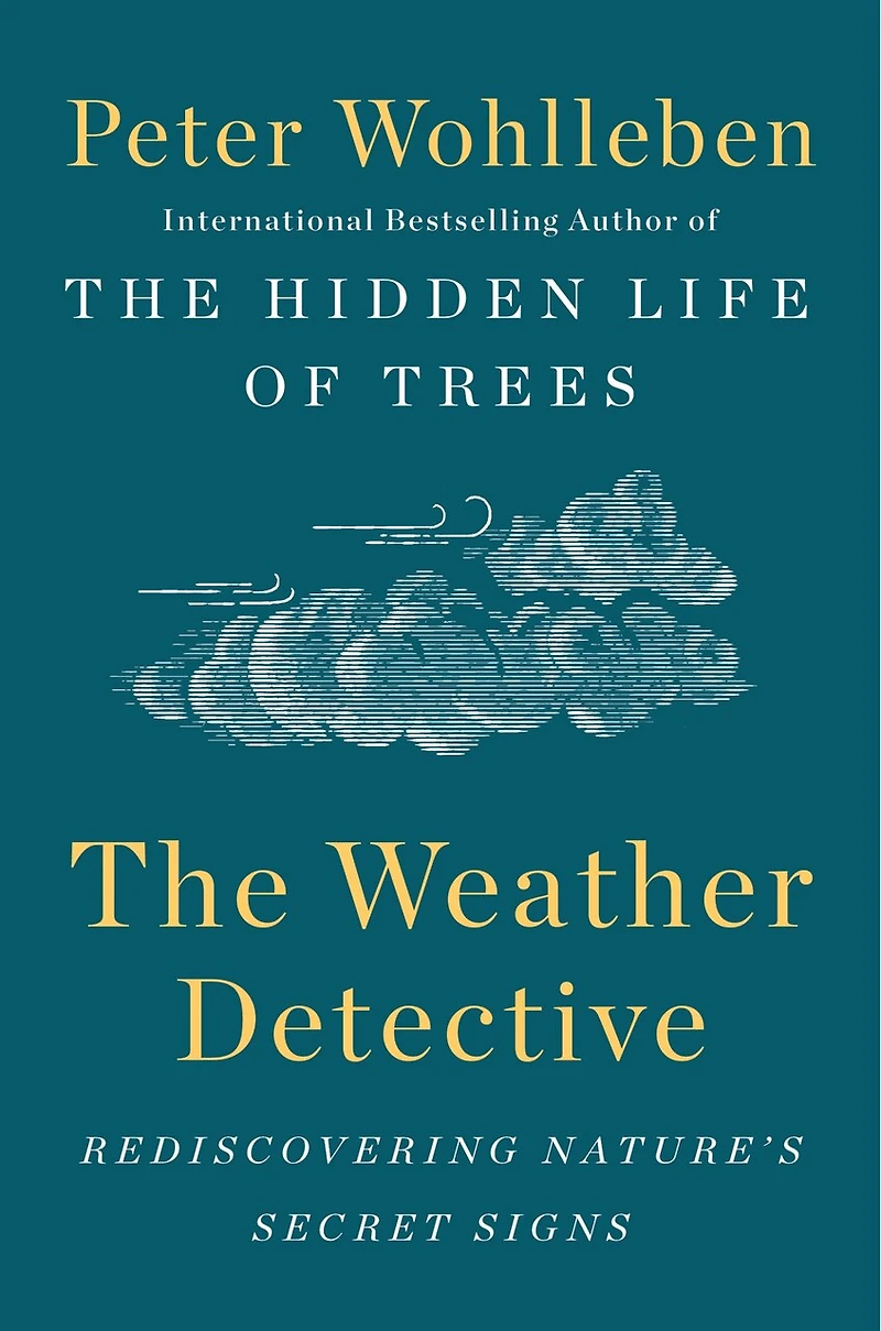 The Weather Detective: Rediscovering Nature's Secret Signs