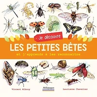 Je découvre les petites bêtes: et j'apprends à les reconnaître