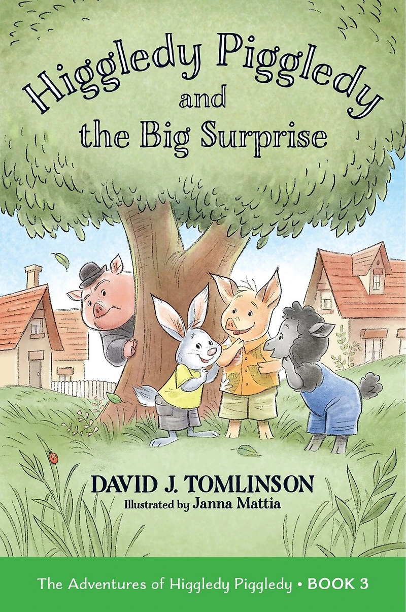 Higgledy Piggledy and The Big Surprise: Adventures of Book 3 Volume