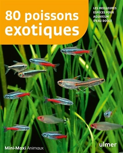 80 poissons exotiques: les meilleures espèces pour aquarium d'eau douce