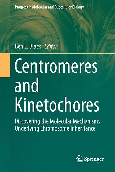 Centromeres And Kinetochores: Discovering The Molecular Mechanisms Underlying Chromosome Inheritance