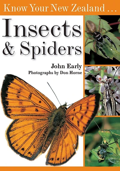 Know Your New Zealand Insects & Spiders