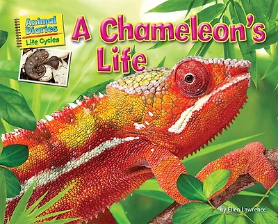 A Chameleon's Life