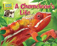 A Chameleon's Life