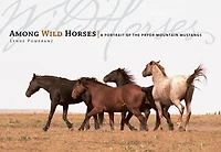 Among Wild Horses: A Portrait Of The Pryor Mountain Mustangs