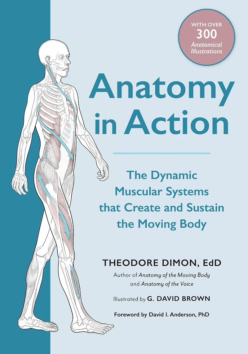 Anatomy Action: the Dynamic Muscular Systems that Create and Sustain Moving Body
