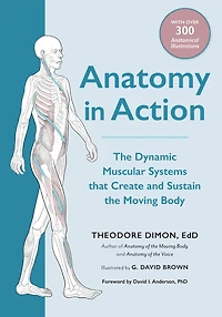 Anatomy Action: the Dynamic Muscular Systems that Create and Sustain Moving Body