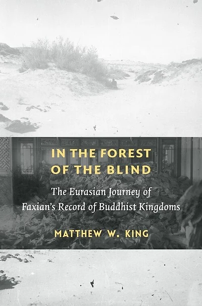 The Forest Of Blind: Eurasian Journey Faxian's Record Buddhist Kingdoms