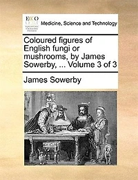 Coloured Figures of English Fungi or Mushrooms, by James Sowerby, ... 3; Volume 3