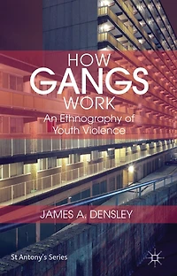 How Gangs Work: An Ethnography of Youth Violence
