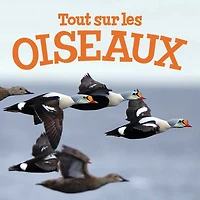 All about Birds: French Edition