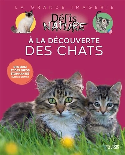 A la découverte des chats: des quiz et des infos étonnantes sur les chats !