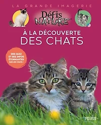A la découverte des chats: des quiz et des infos étonnantes sur les chats !