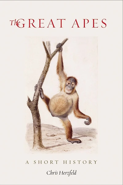 GREAT APES: A Short History