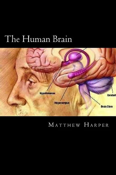 The Human Brain: A Fascinating Book Containing Human Brain Facts, Trivia, Images & Memory Recall Quiz: Suitable for Adults & Children