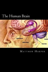 The Human Brain: A Fascinating Book Containing Human Brain Facts, Trivia, Images & Memory Recall Quiz: Suitable for Adults & Children