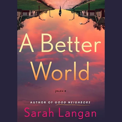A Better World: A Novel
