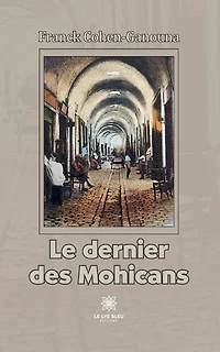 Le dernier des Mohicans