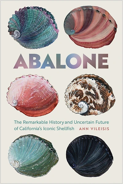 Abalone: The Remarkable History And Uncertain Future Of California's Iconic Shellfish