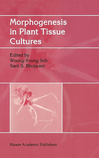 Morphogenesis in Plant Tissue Cultures