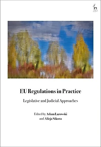 EU Regulations in Practice: Legislative and Judicial Approaches