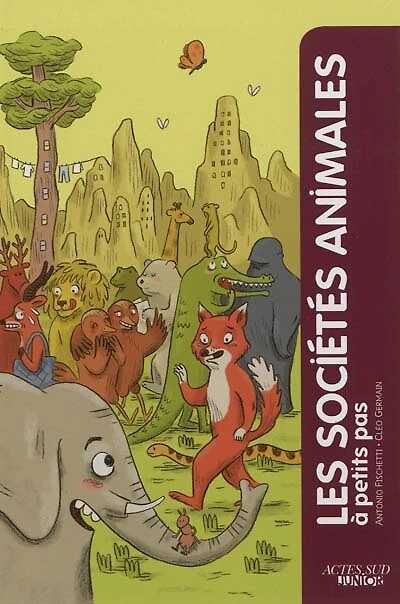 Les sociétés animales à petits pas