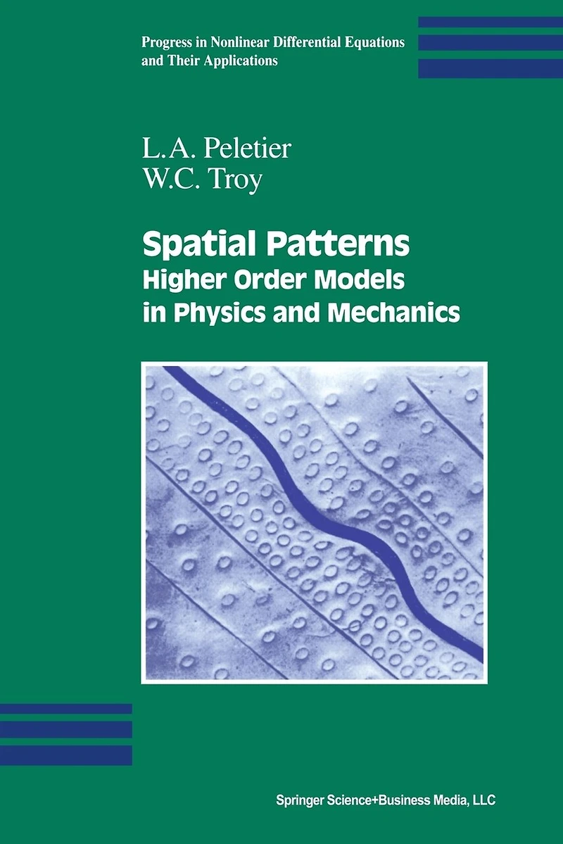 Spatial Patterns: Higher Order Models Physics and Mechanics