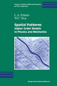 Spatial Patterns: Higher Order Models Physics and Mechanics