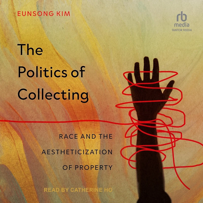 the Politics of Collecting: Race and Aestheticization Property