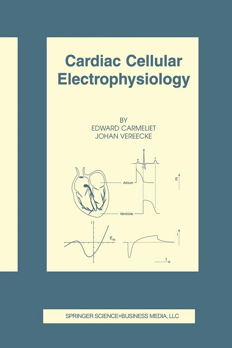 Cardiac Cellular Electrophysiology: Southwest Germany The Late Paleolithic And Mesolithic