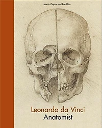 Leonardo Da Vinci: Anatomist