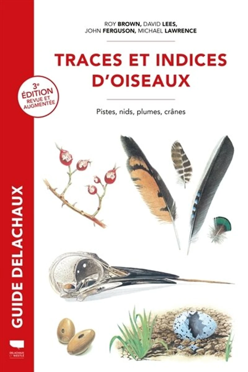 Traces et indices d'oiseaux: pistes, nids, plumes, crânes