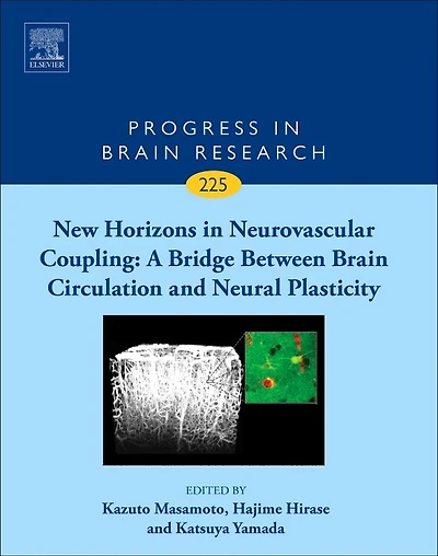 New Horizons Neurovascular Coupling: A Bridge Between Brain Circulation and Neural Plasticity