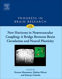 New Horizons Neurovascular Coupling: A Bridge Between Brain Circulation and Neural Plasticity
