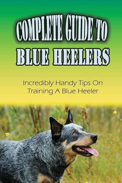 Complete Guide To Blue Heelers: Incredibly Handy Tips On Training A Blue Heeler: Blue Heeler Behavior Problems