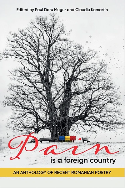 Pain is a Foreign Country: An Anthology of Recent Romanian Poetry