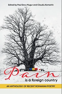 Pain is a Foreign Country: An Anthology of Recent Romanian Poetry